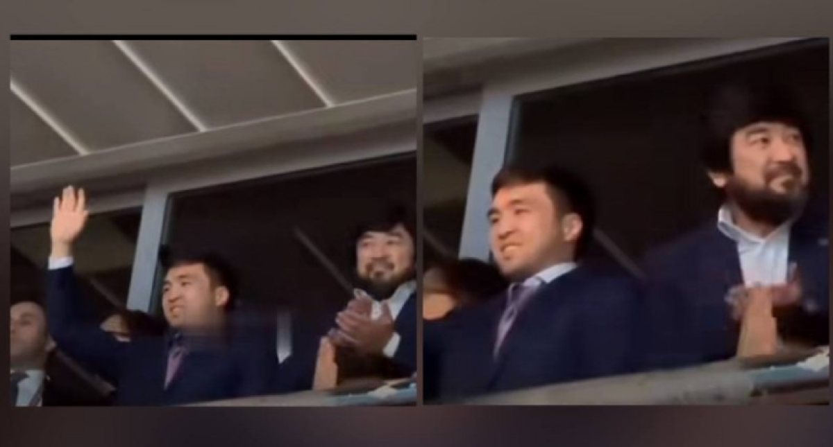 Фото: Видеодан кадр