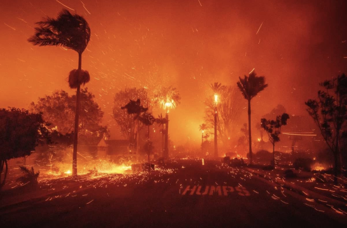 Фото: AP Photo