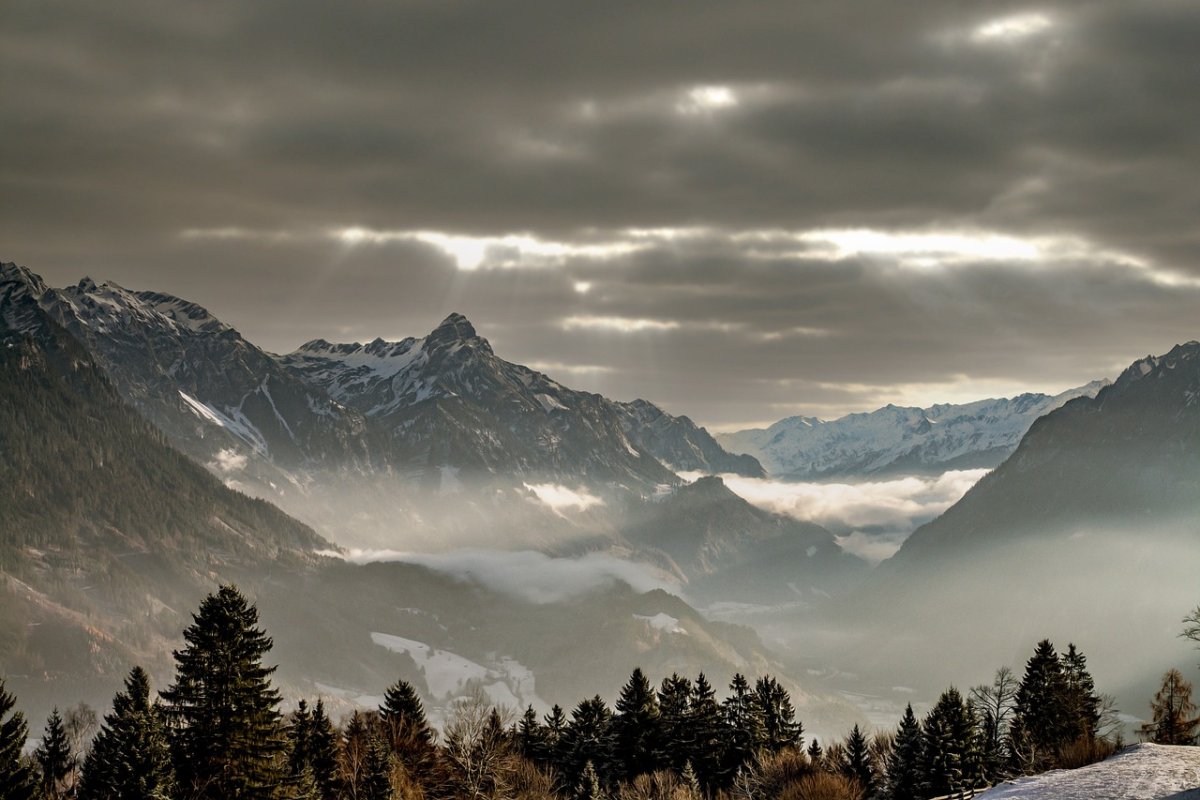 Фото: Pixabay