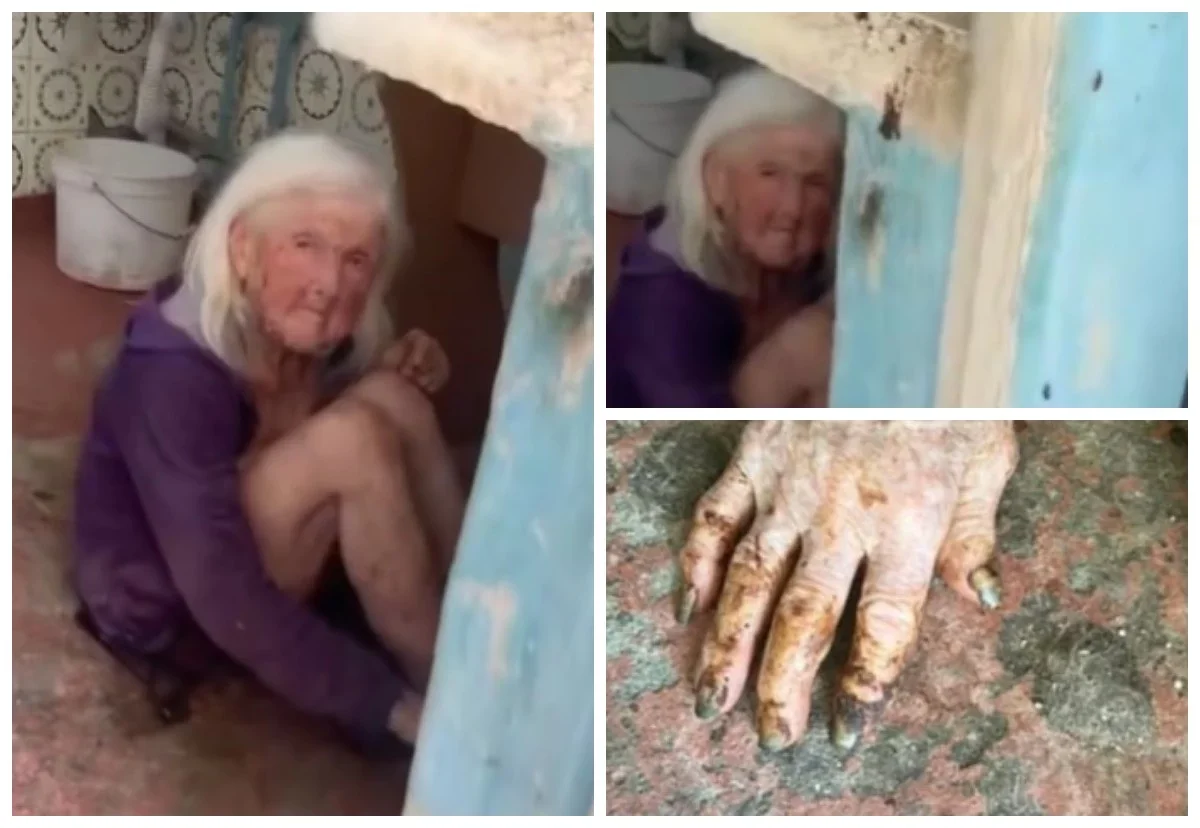 Фото: Бейнежазбадан