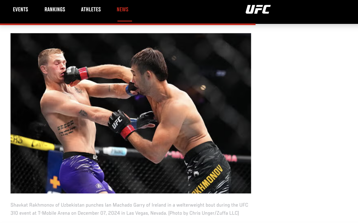 Фото: UFC сайты
