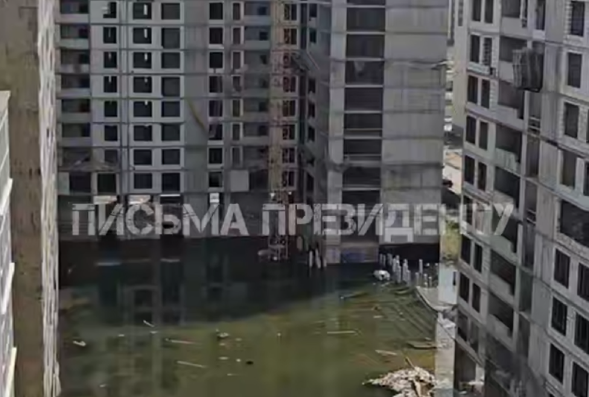 Фото: видеодан скриншот