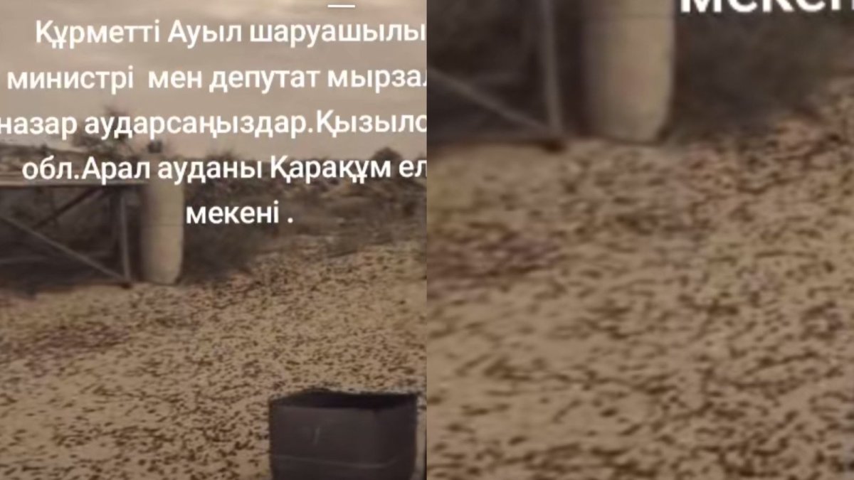 Коллаж: sn.kz