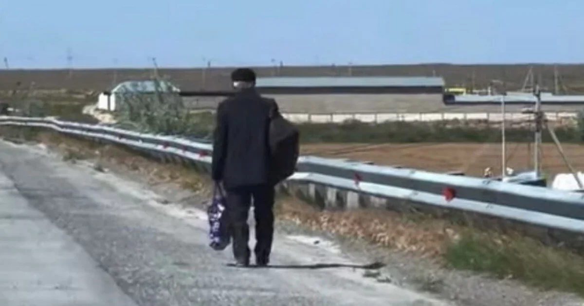 Фото: видео скриншот