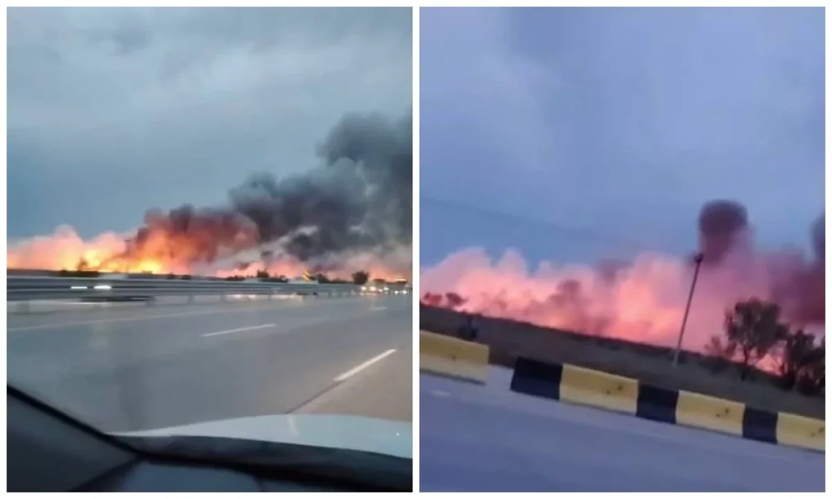 Фото: видео скриншот