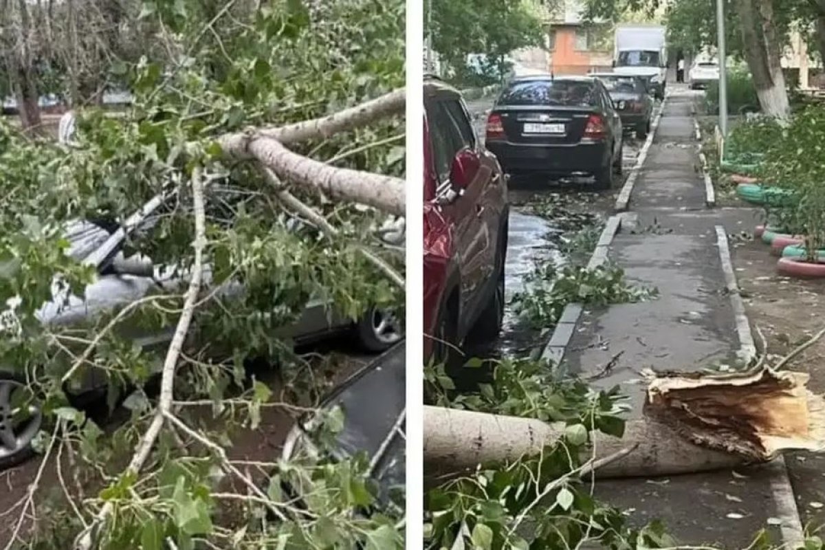 Фото: Павлодар облысының әкімдігі
