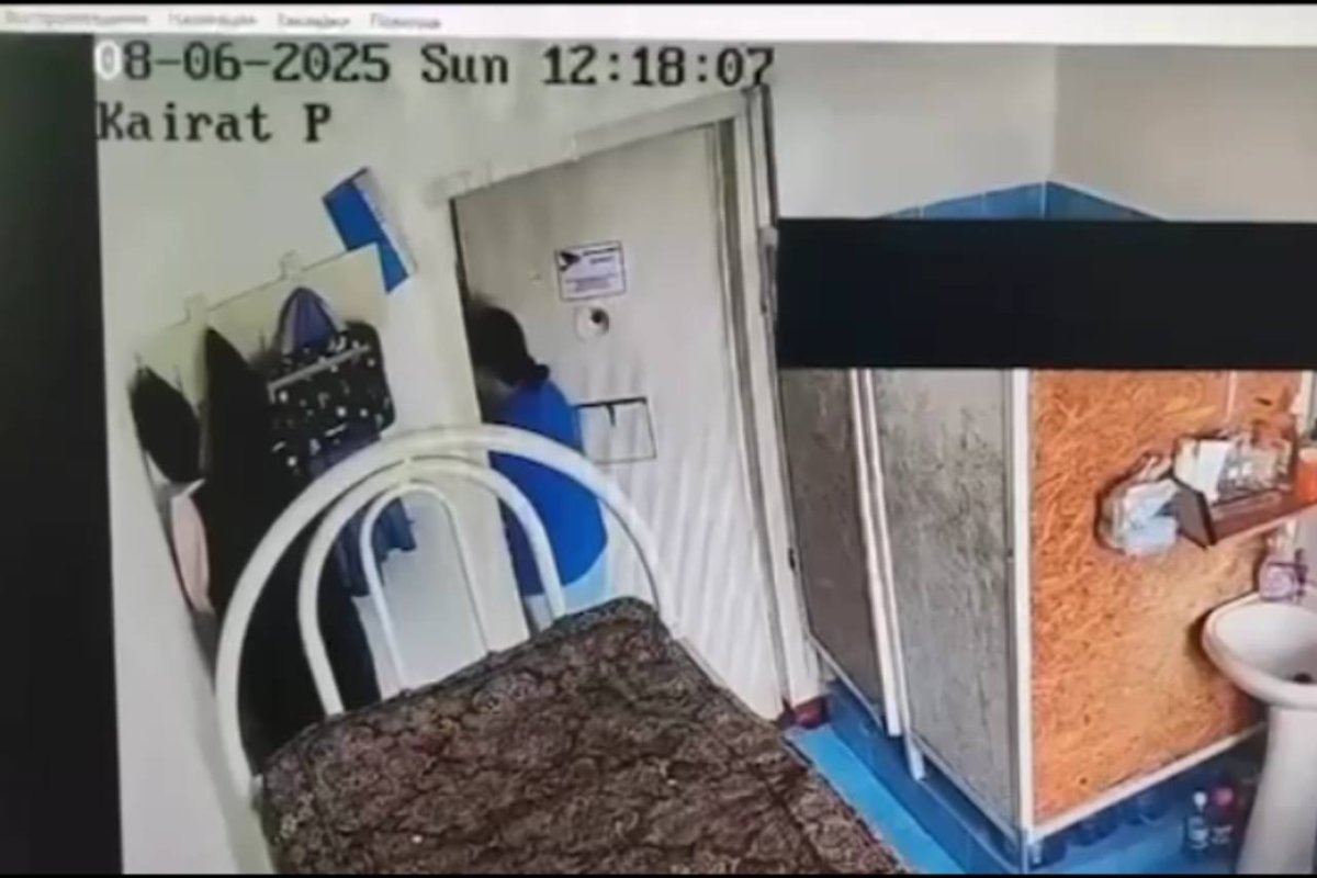 Фото: видеодан скриншот