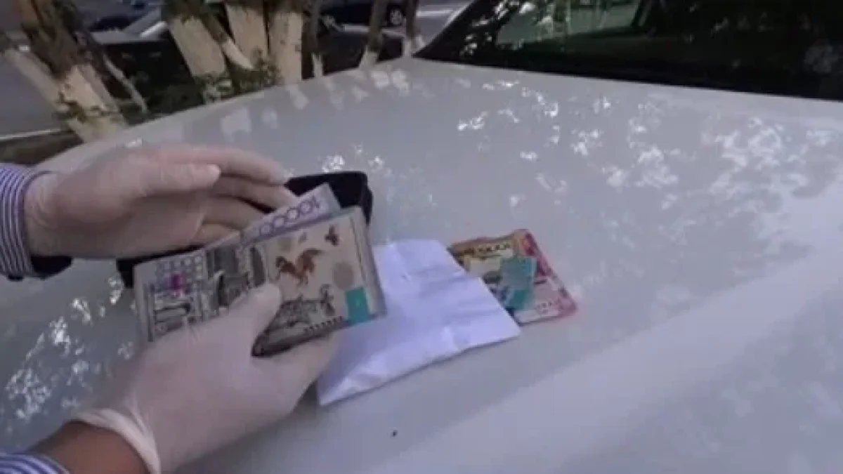 Фото: видео скриншот