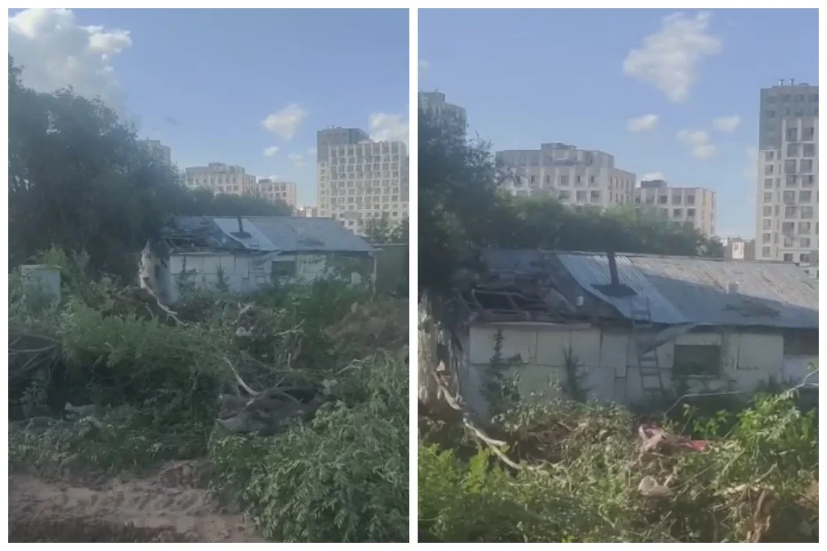 Фото: видеодан скриншот