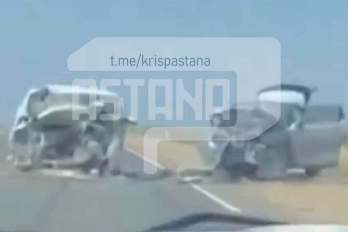 Фото: видеодан скриншот