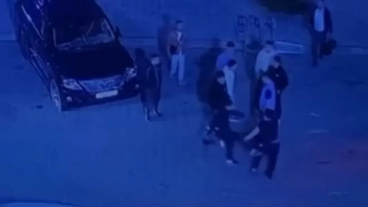Фото: видеодан скриншот