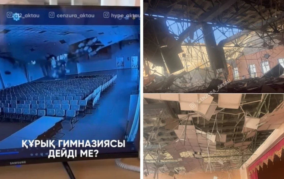 Фото: видеодан скрин