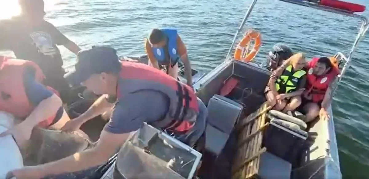Фото: видео скриншот