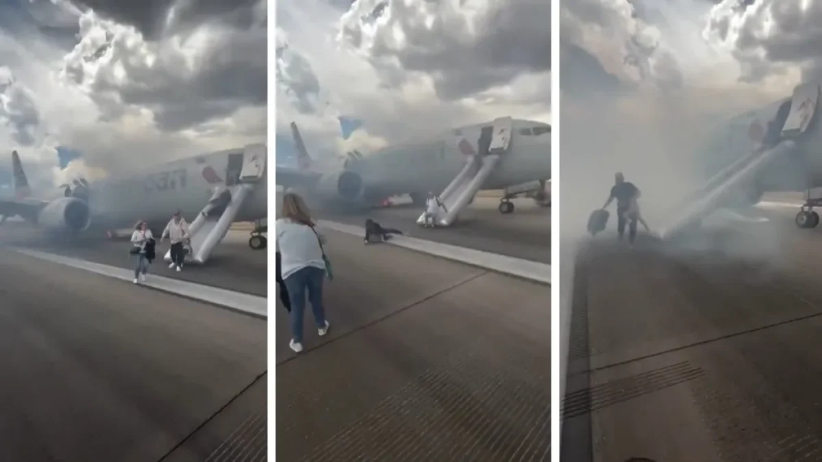 Фото: видео скриншот