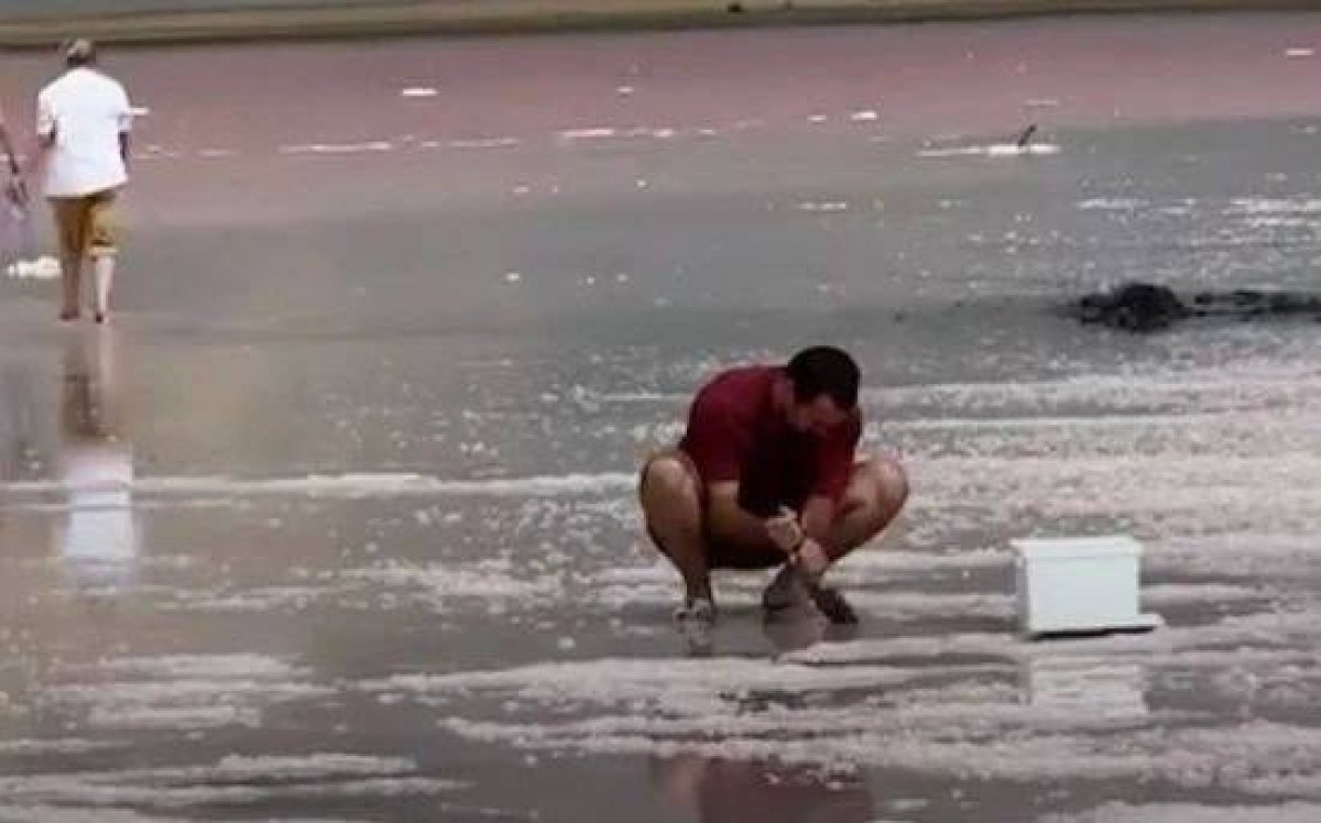 Фото: видео скриншот