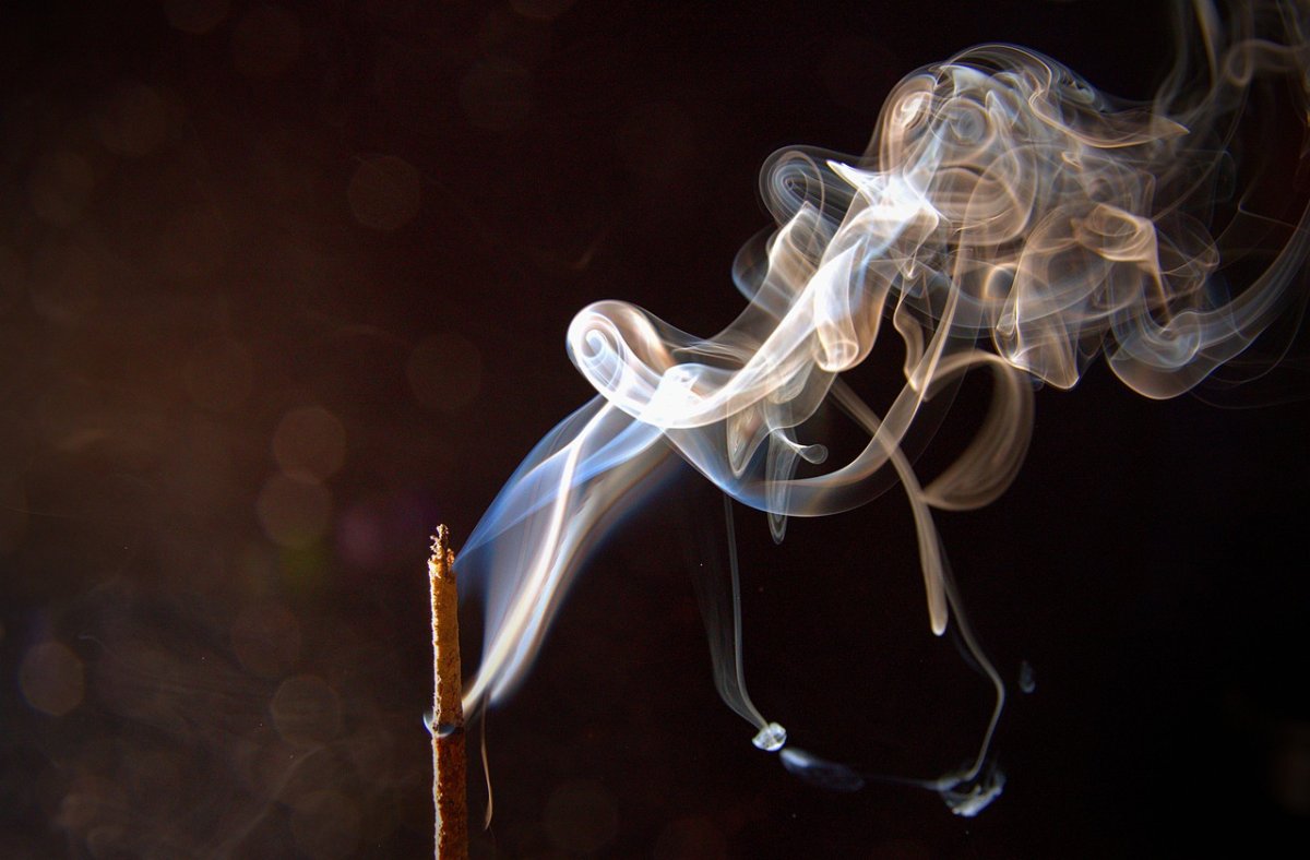 Фото: Pixabay