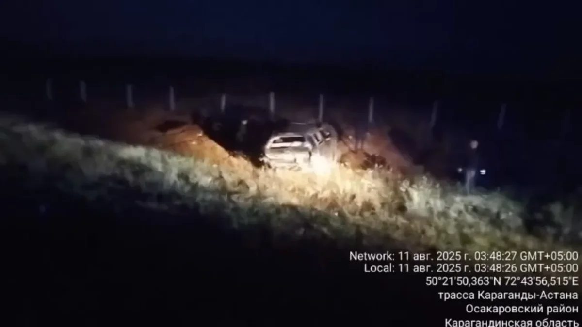 Фото: видео скриншот