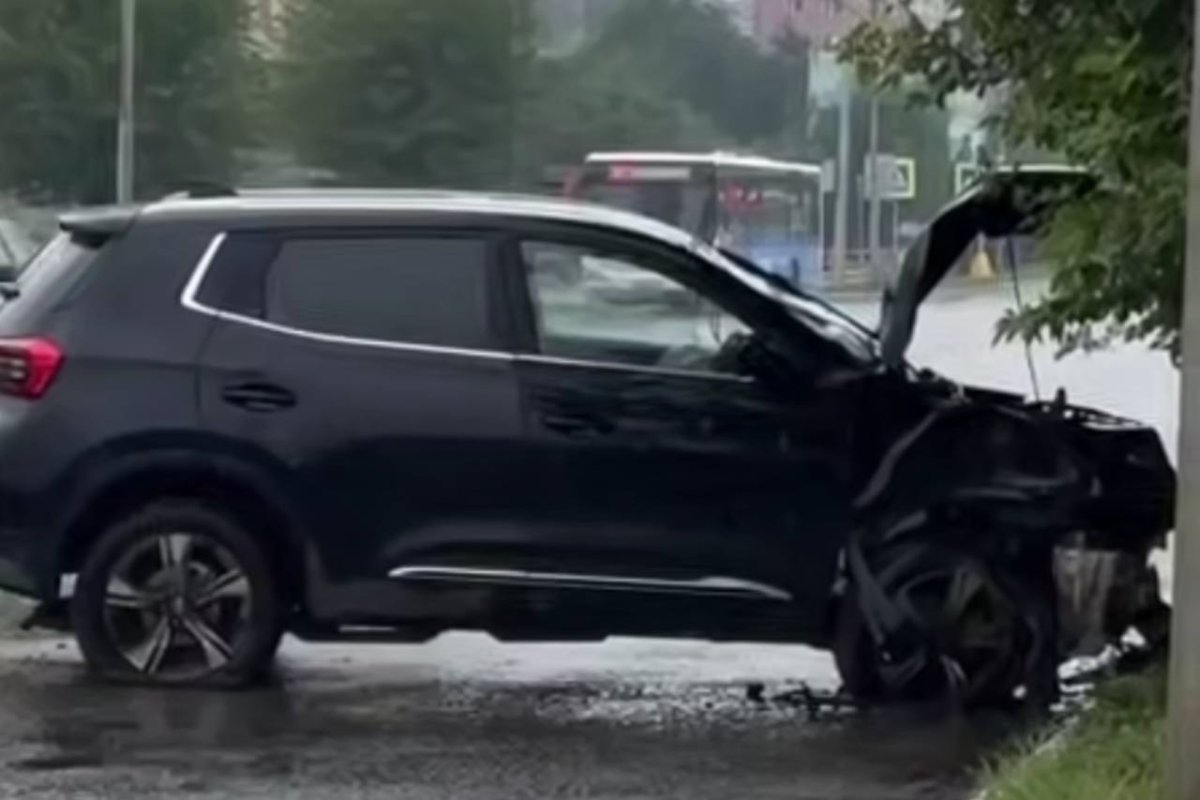 Фото: видеодан скриншот