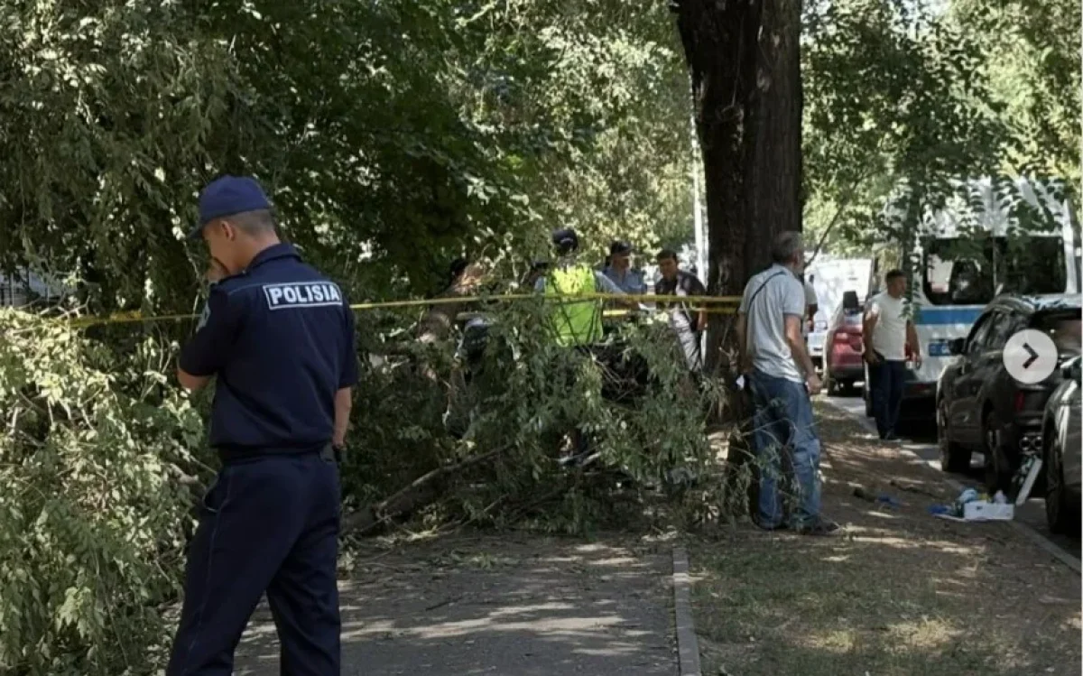 Фото: tengrinews.kz