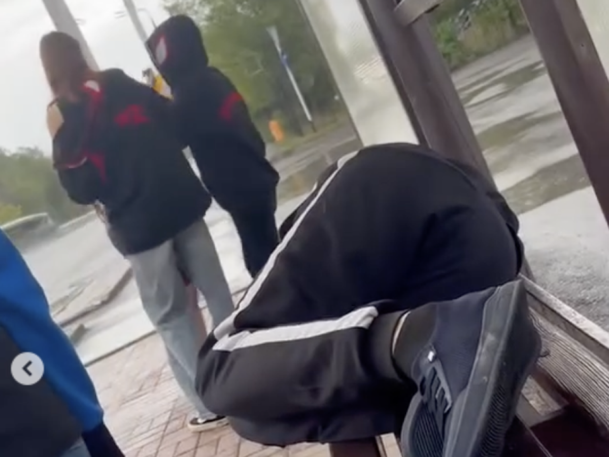 Фото: видео скриншот