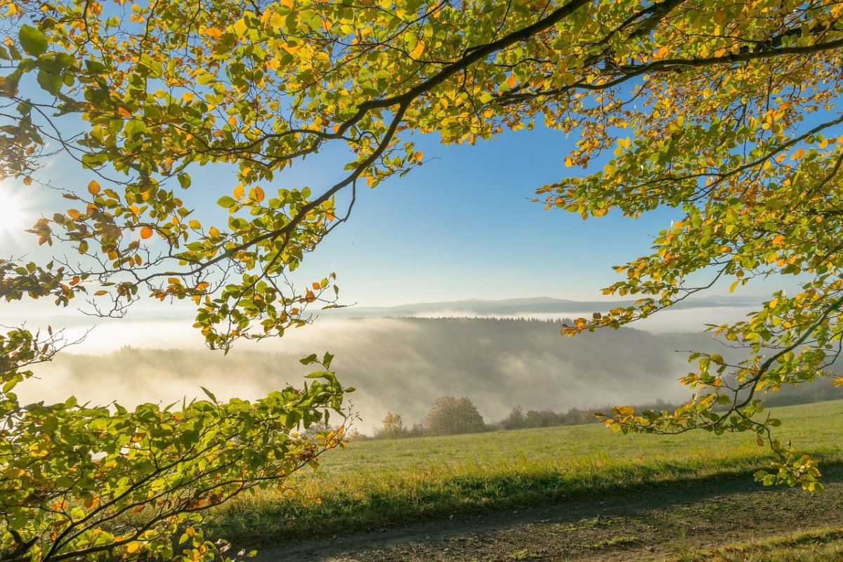 Фото: Pixabay