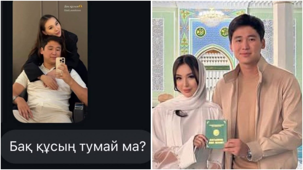 Коллаж: sn.kz