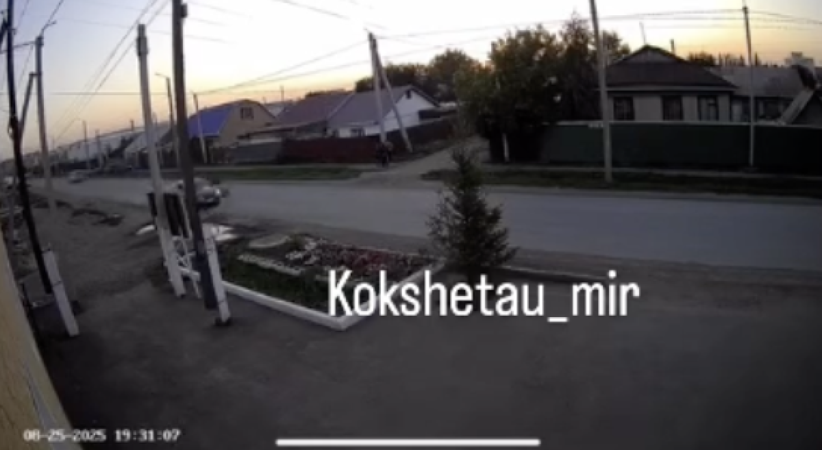 Фото: видео скриншот