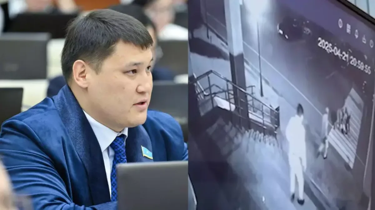 Фото: видеодан скриншот