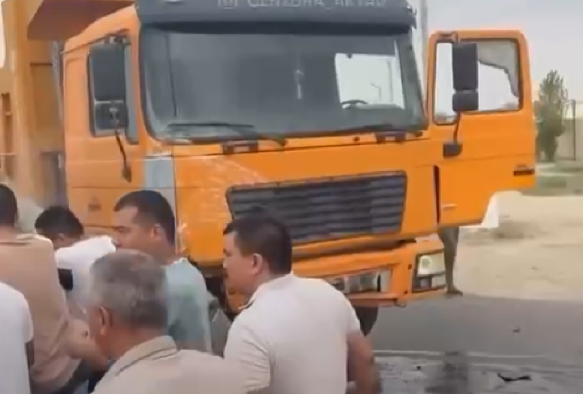Фото: видеодан скрин
