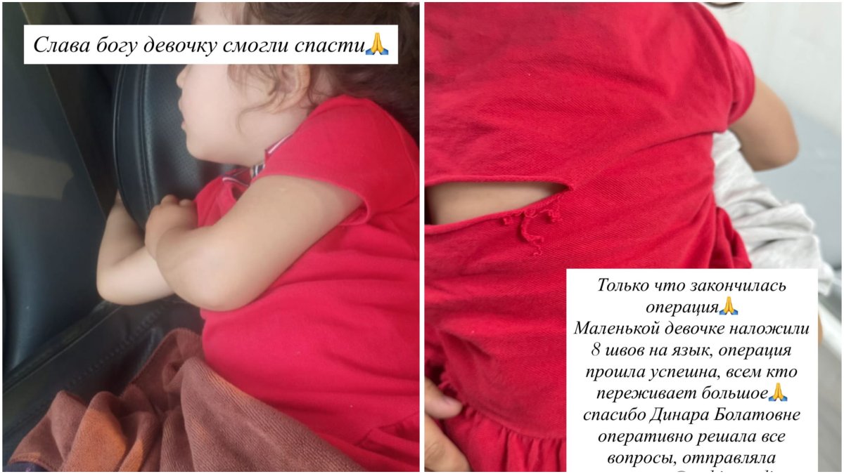 Коллаж: sn.kz