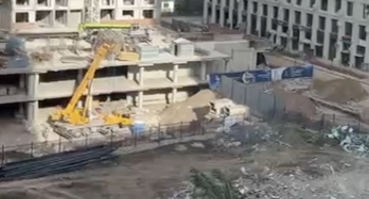 Фото: видео скриншот