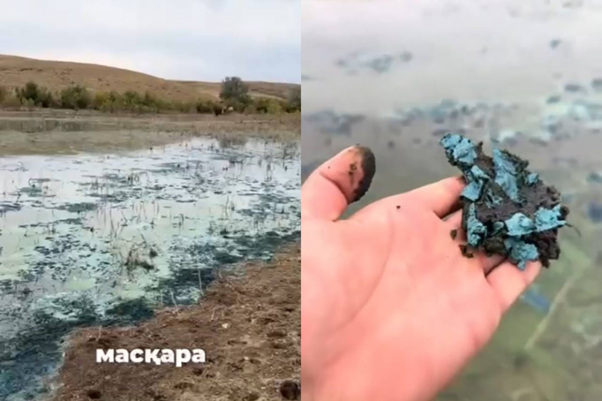 Фото: видеодан скриншот