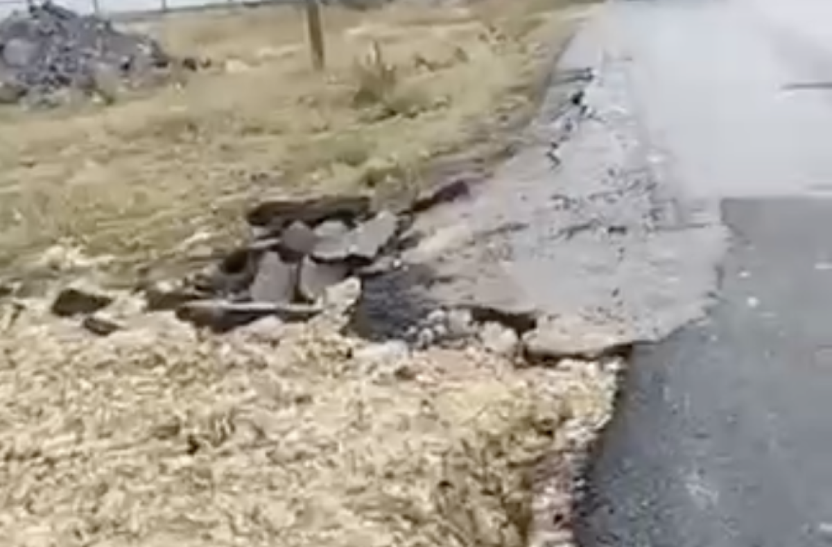 Фото: видео скриншот