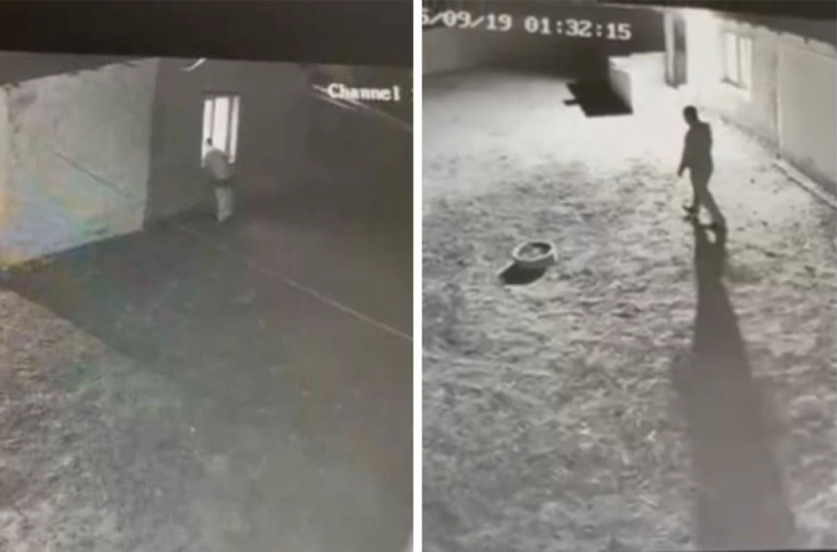 Фото: видеодан скриншот