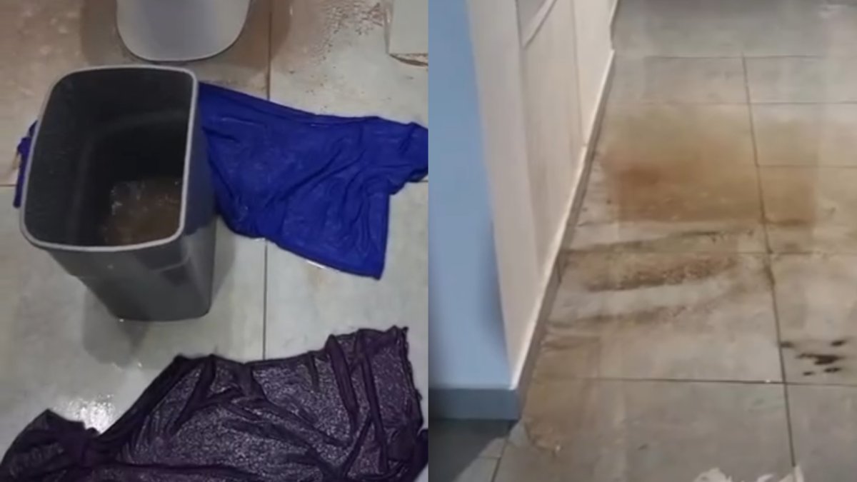 Фото: Видеодан алынған кадр