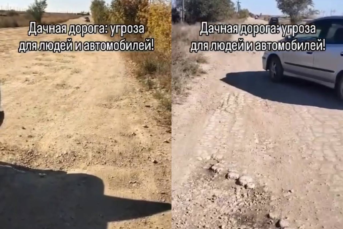 Фото: видеодан скриншот