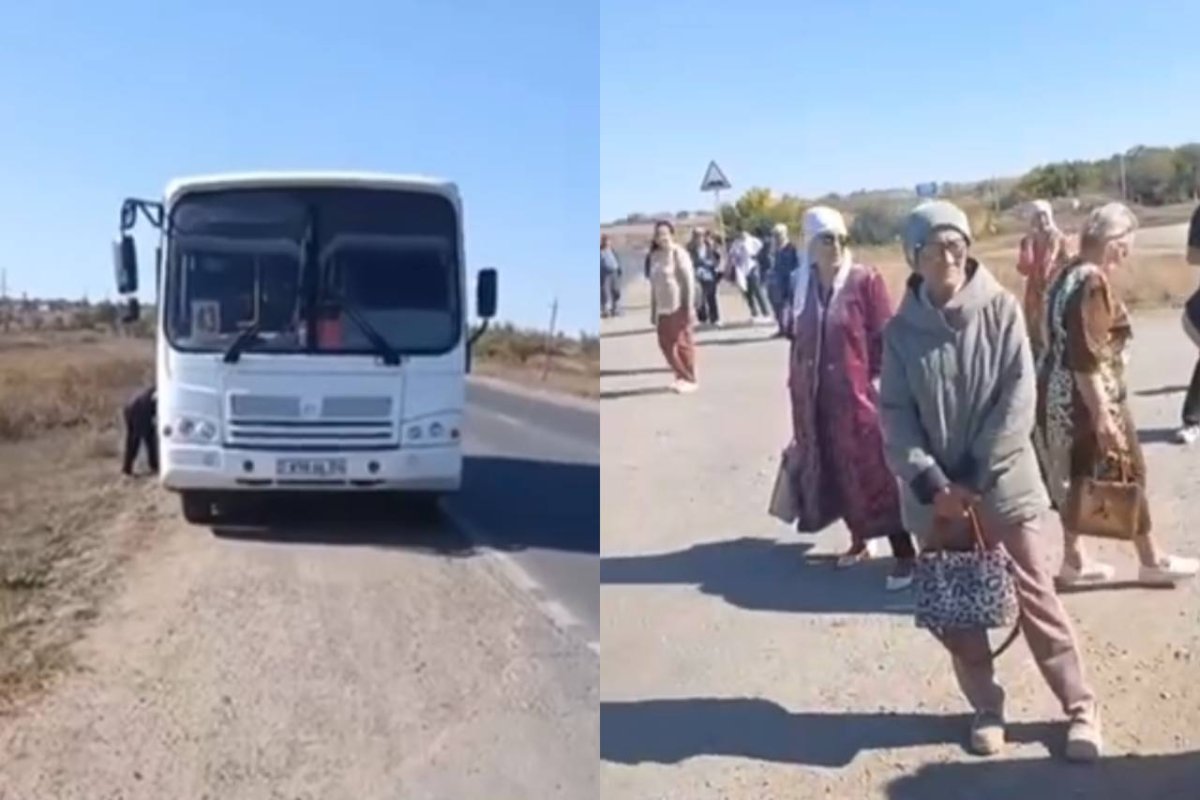 Фото: видеодан скриншот