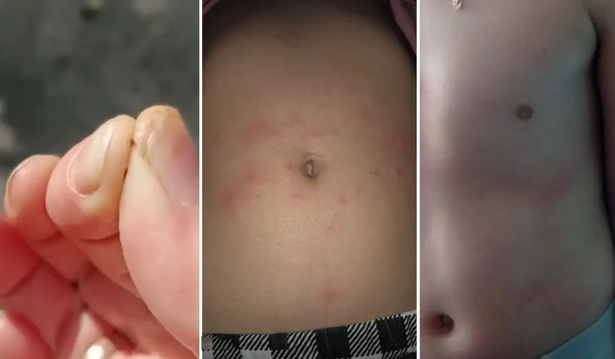Фото: Видеодан алынған кадр