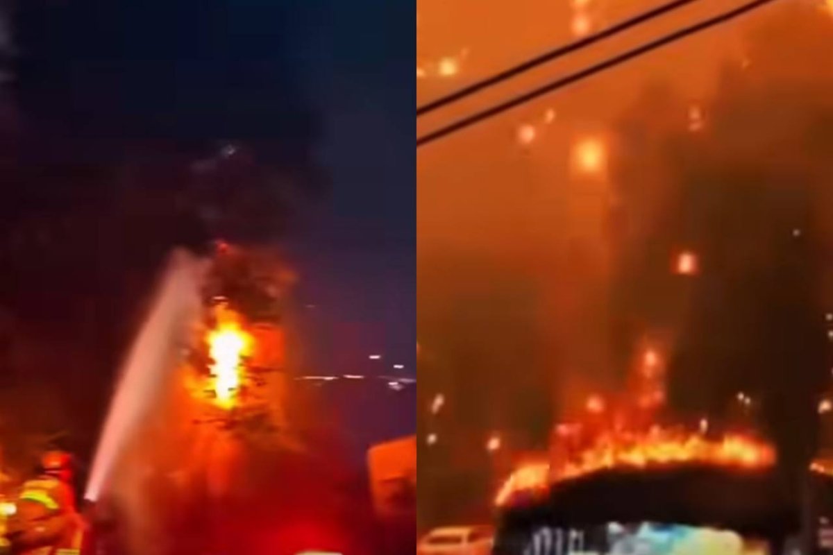 Фото: видеодан скриншот