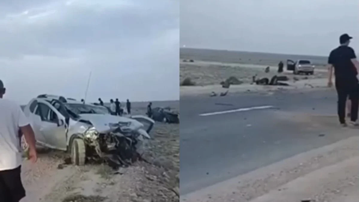 Фото: видео скриншот