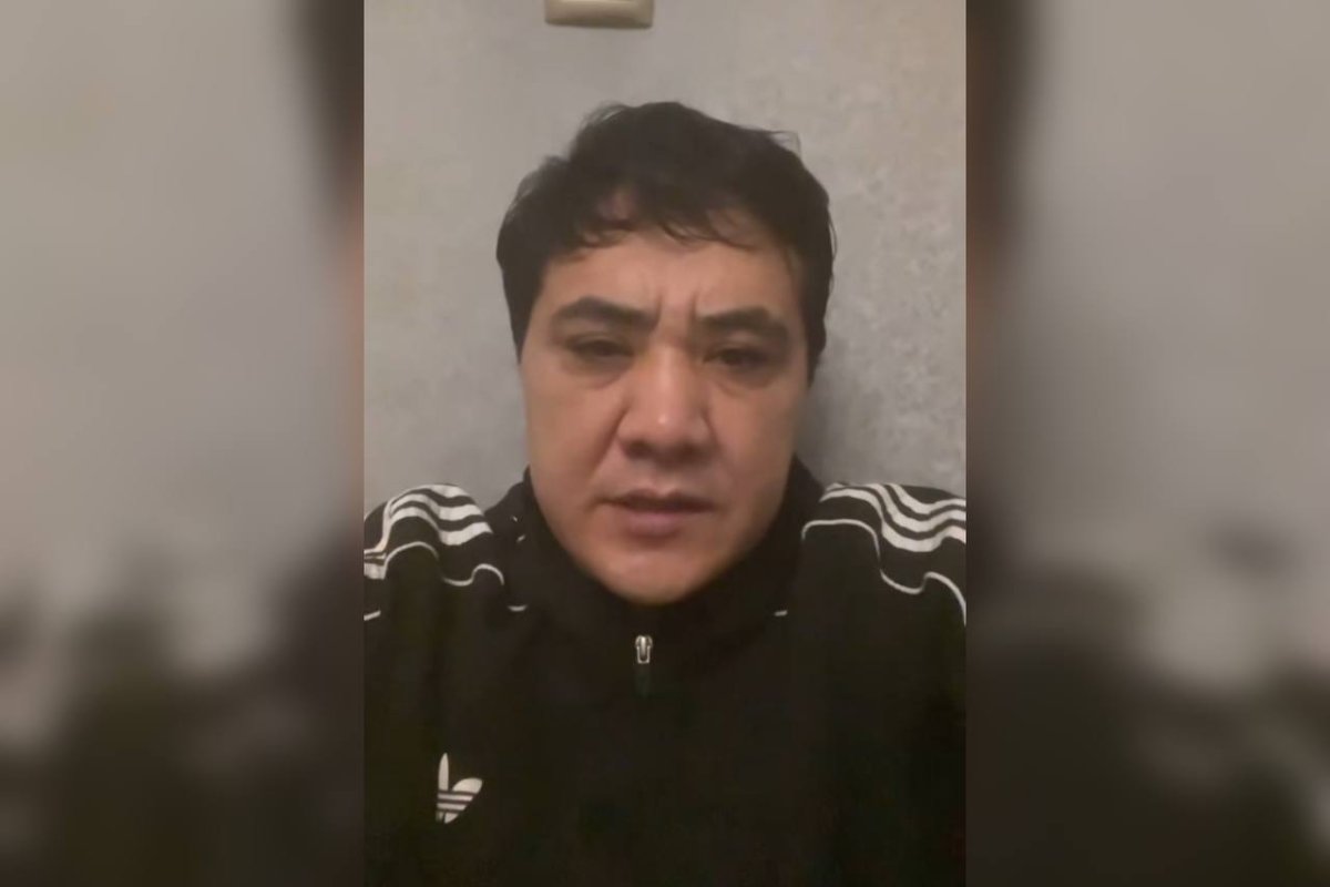 Фото: видеодан скрин