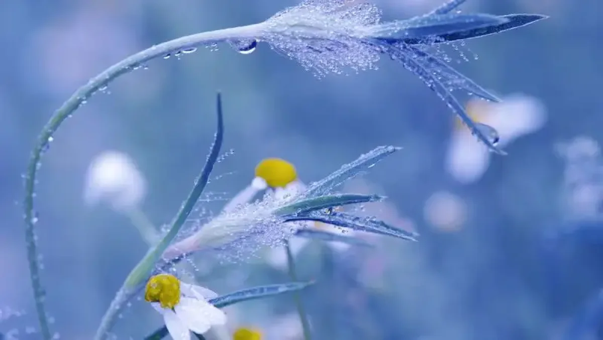 Нейлон аяқтары оргазм 100 порно ххх