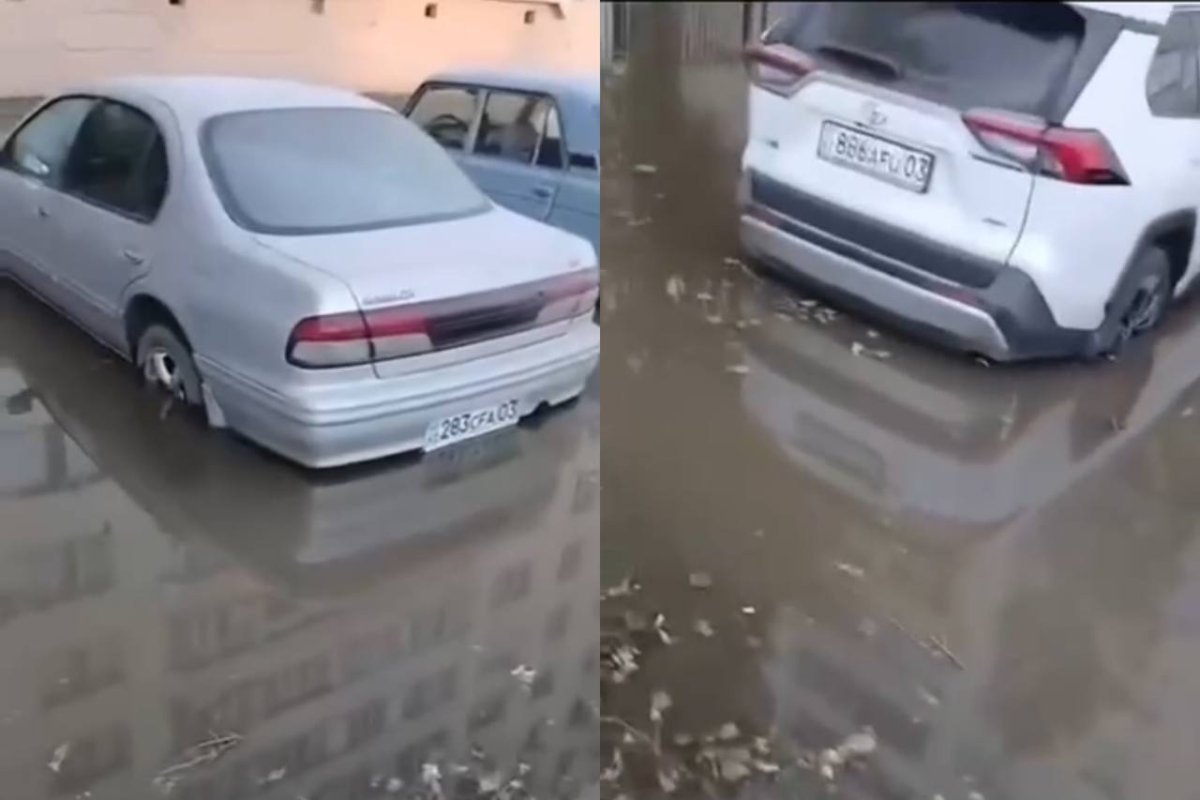 Фото: видеодан скриншот
