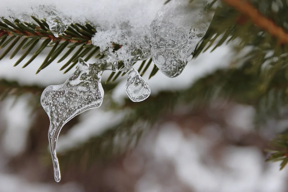 Фото: Pixabay