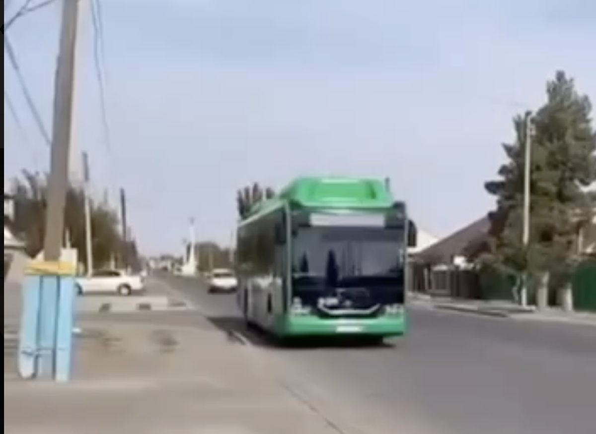 Фото: видео скриншот
