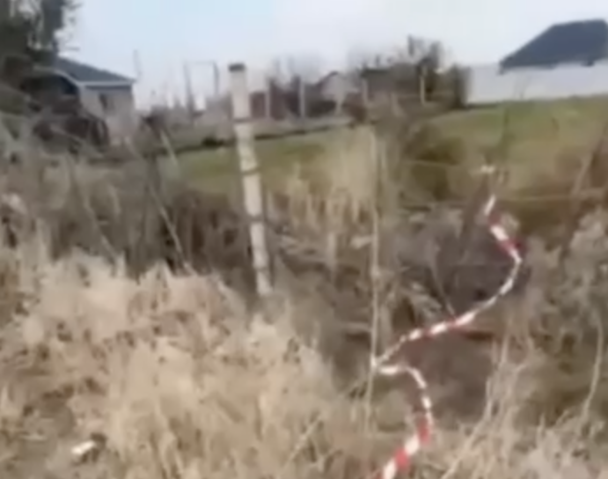 Фото: видео скриншот