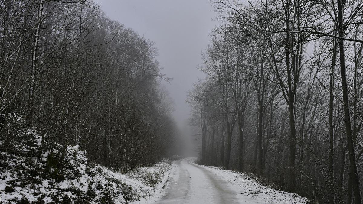 Фото: pexels.com