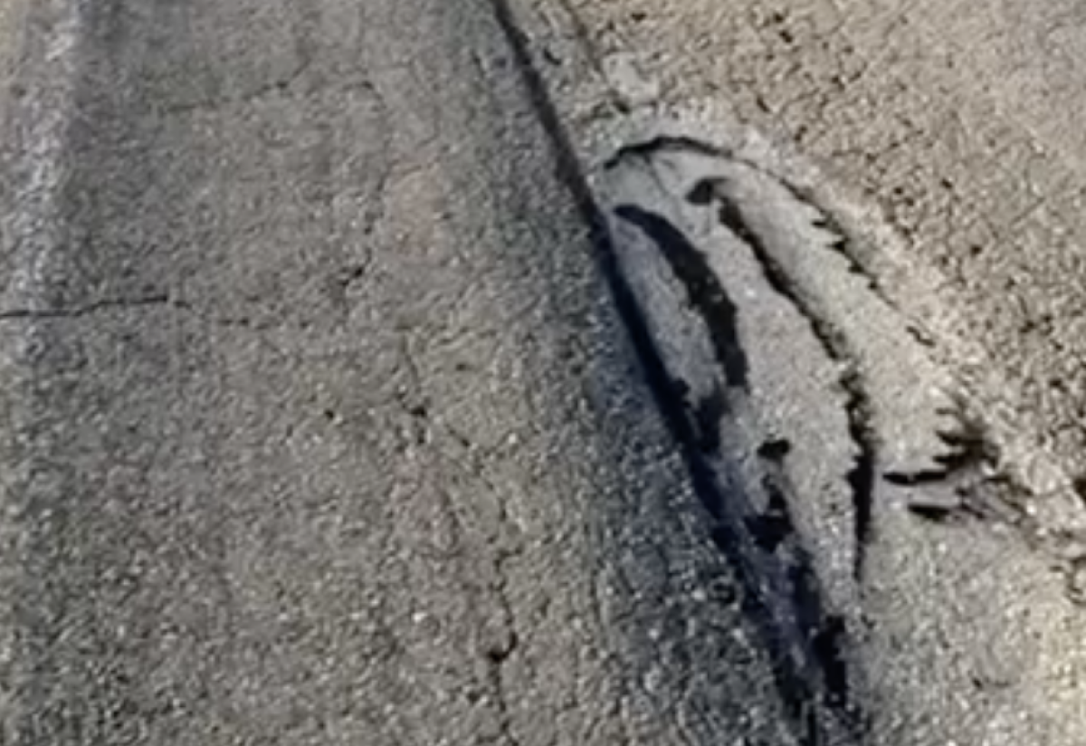 Фото: видео скриншот