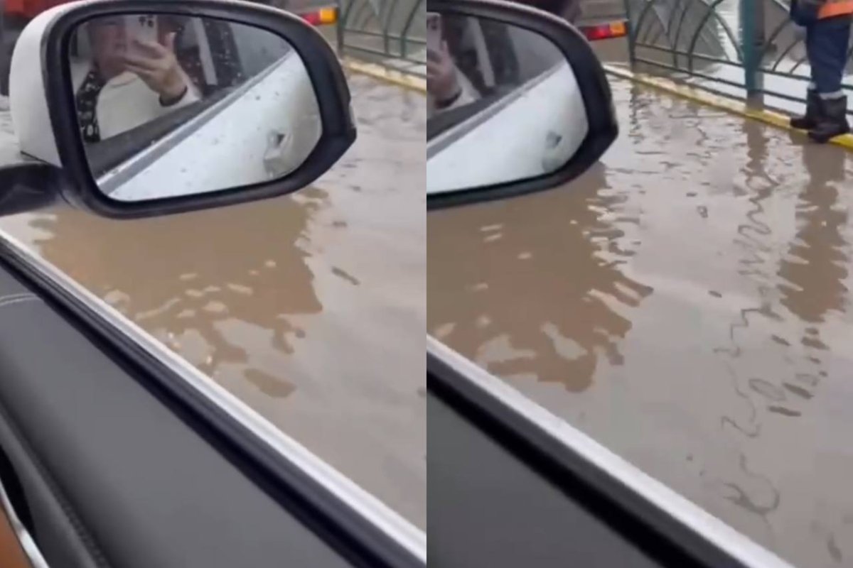 Фото: видеодан скриншот