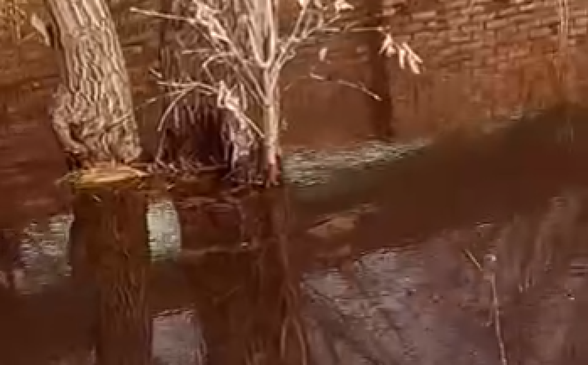 Фото: видеодан скрин